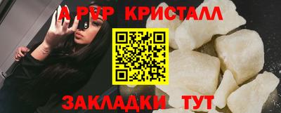 стаф Кунгур