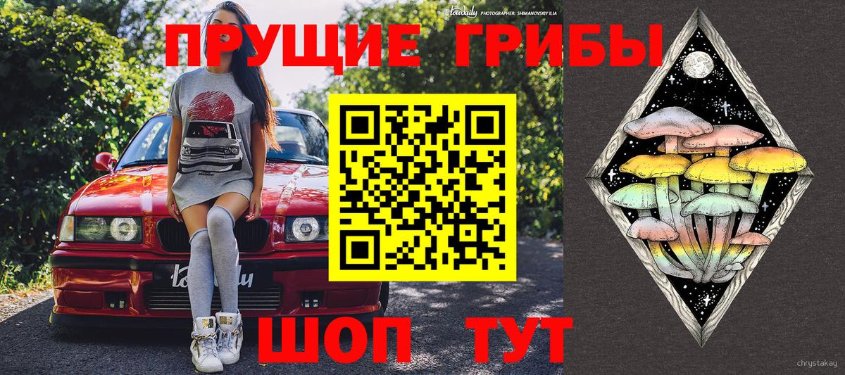Ивантеевка  Псилоцибиновые грибы прущие грибы  Вход с VPN  Галлюциногенные грибы прущие грибы 